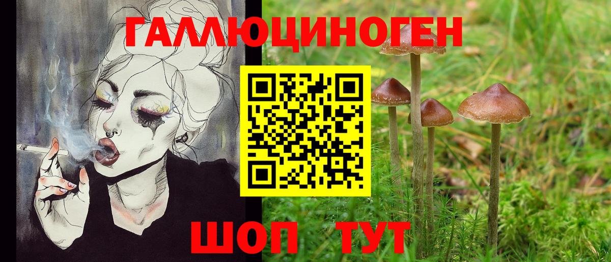 Норильск  Галлюциногенные грибы прущие грибы  Вход с VPN 