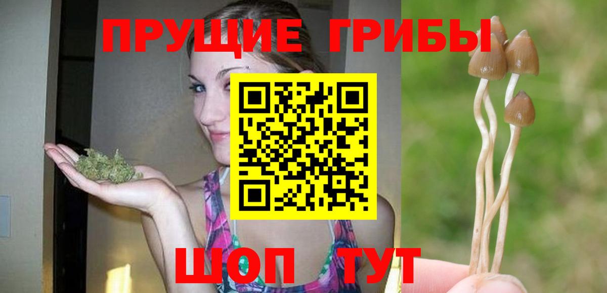 Галлюциногенные грибы прущие грибы Норильск